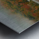 Unveiling of Autumn Paradise Metal print