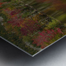 Echo Lake Paradise Reflections Metal print