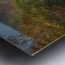 Crawford Notch Autumn Road Metal print