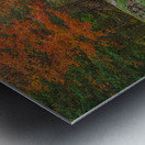 Mohawk Falls Autumn Magic Metal print