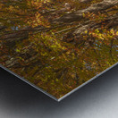 Lovers Lane Autumn Splendor Metal print