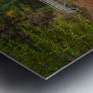 Magical Autumn Path to Bridge Metal print