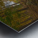 Autumn River Paradise Metal print