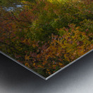 Autumn Road Morning Glow Metal print