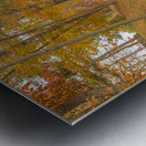 Letchworth Autumn Road to Paradise Metal print