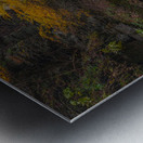 Autumn Gorge Paradise Metal print