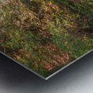 Autumn Waterfall Magic Metal print