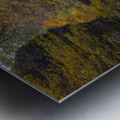 Autumn Fantasy Bridge Metal print