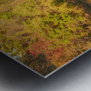 Autumn Paradise at Ithaca Falls Metal print