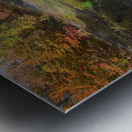 Letchworth Rainbow Gorge Magic Metal print