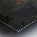 Evening Lights at Middle Falls Impression metal