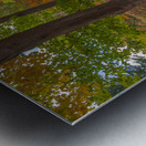 Letchworth Old Stone Walkway Metal print