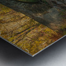 Autumn Stone Bridge Metal print