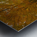 Enchanted Autumn Wonderland Pathway  Metal print