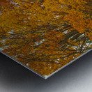 Rural Autumn Road Splendor  Metal print