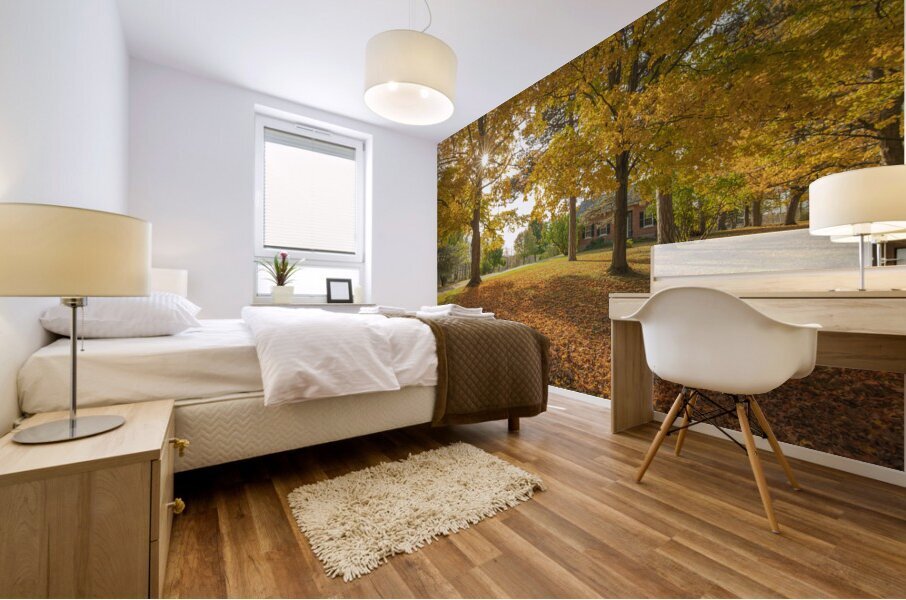 Autumn Glow Impression murale