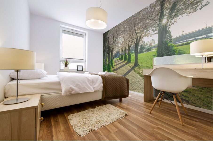 Cherry Blossom Pathway Mural print