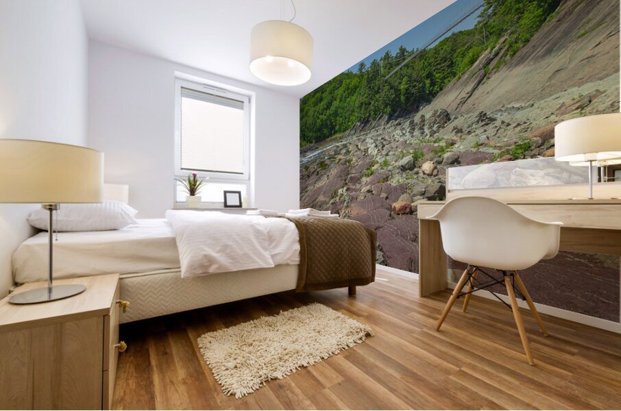 Chaudiere Falls Suspension Bridge Mural print