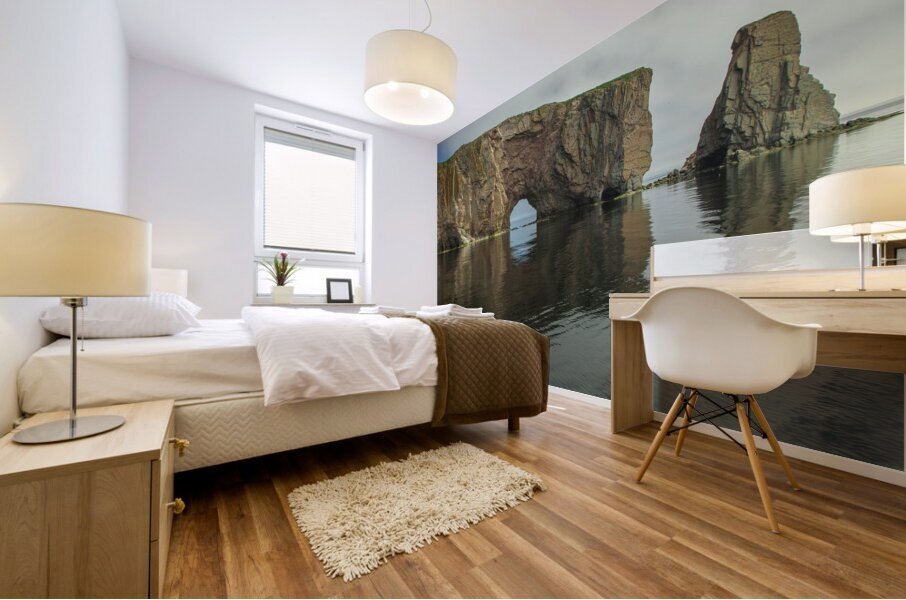 Close up of Perce Rock Reflection Mural print