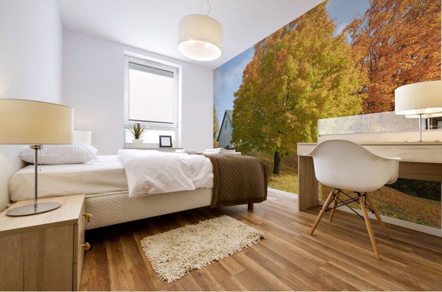 Autumn Classic Maples Impression murale