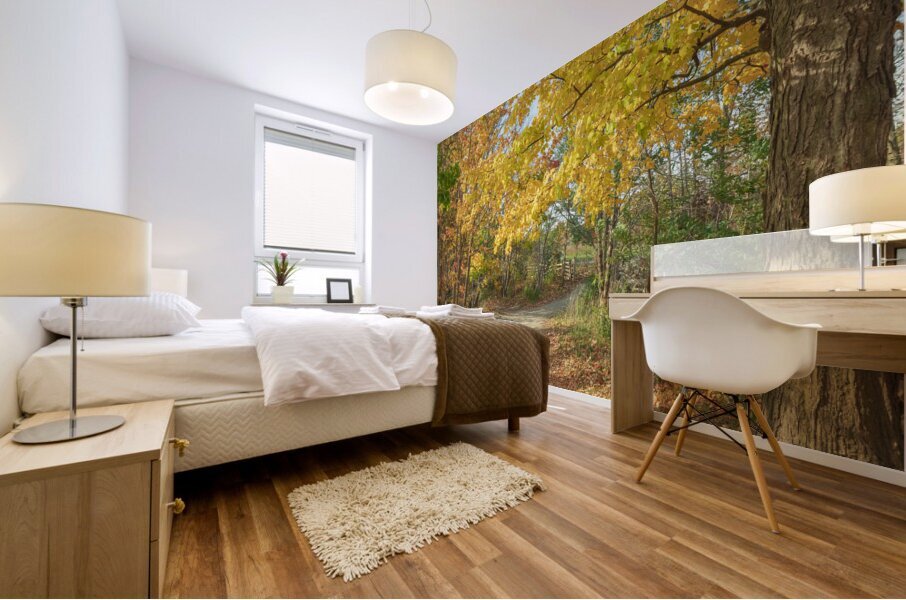 Decew Falls Autumn Trail Mural print