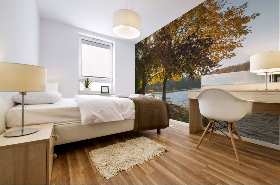 Eugenia Lake sunburst Mural print