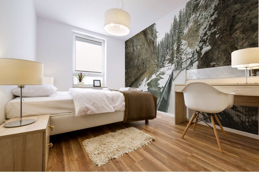 Johnston Canyon Winter Thaw Impression murale