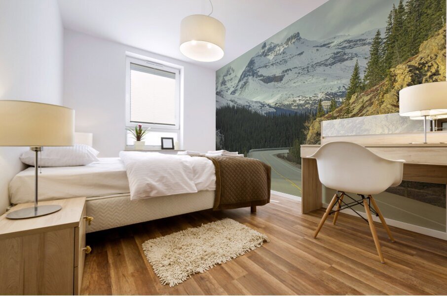 Mountain Road in Banff National park Mural print