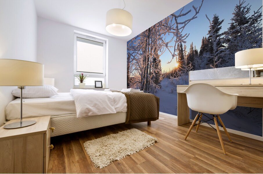 Winter Morning Frost Sunburst Mural print