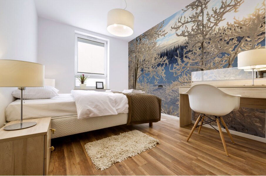 Winter wonderland frost Mural print