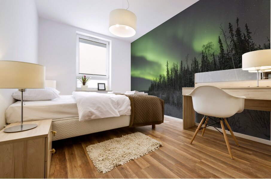 Ingraham Aurora Ribbons Mural print