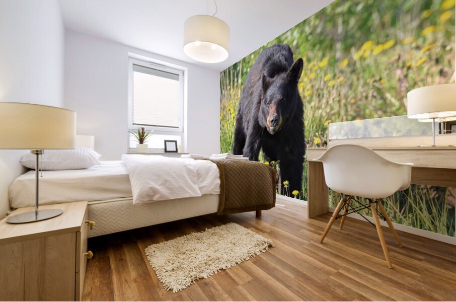 Black Bear Enjoying dandelions Mural print