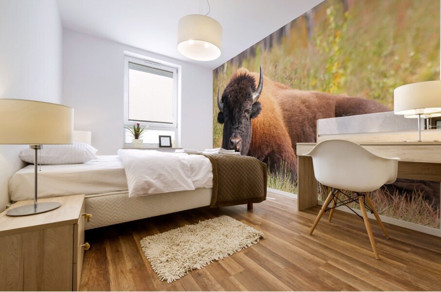 Friendly Giant   Wood Bison Mural print