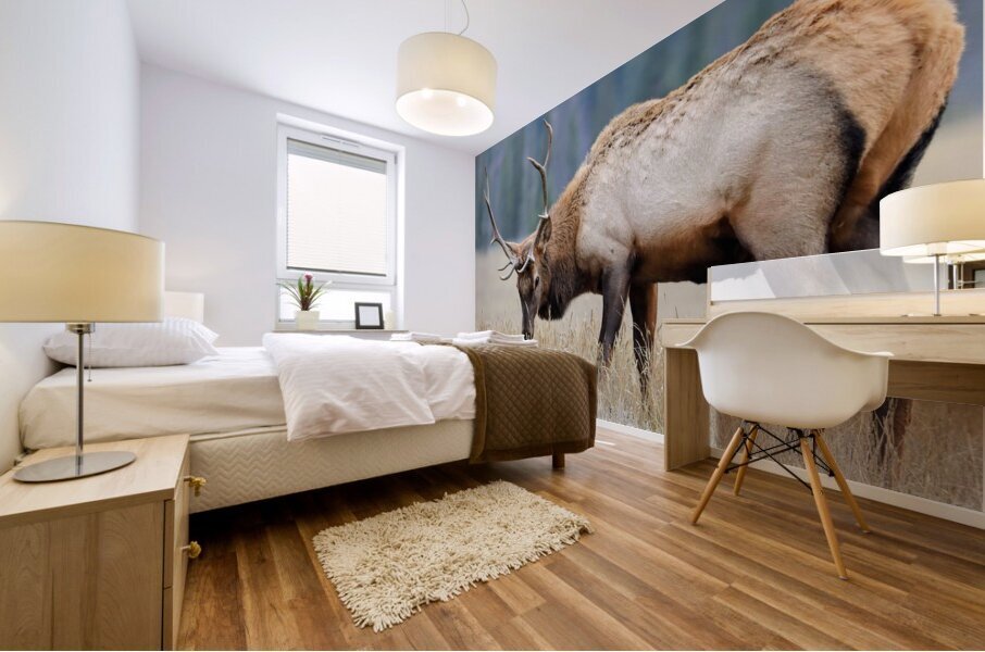 Jasper Elk Mural print