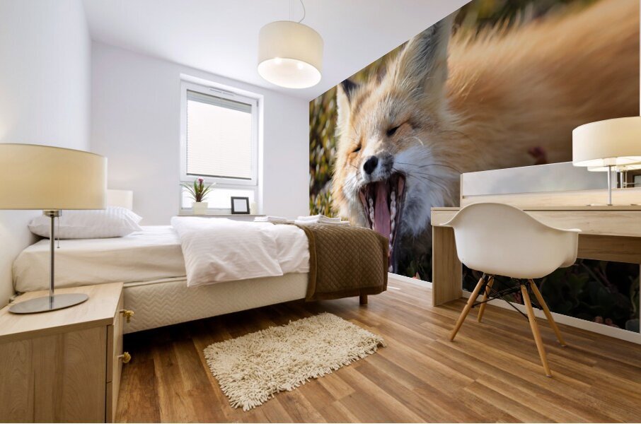 Fox Yawning Mural print