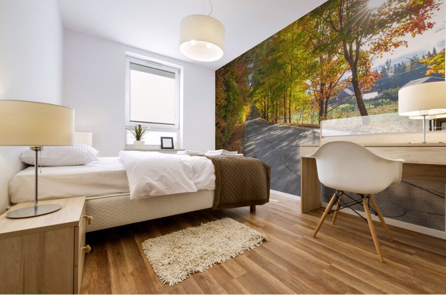 Autumn Road Morning Glow Mural print