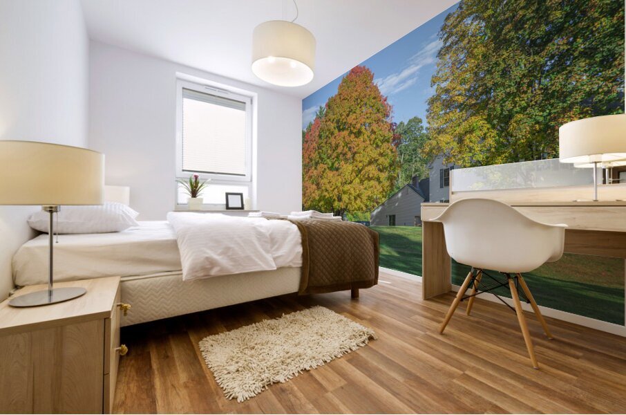 Autumn Maple Magic Impression murale