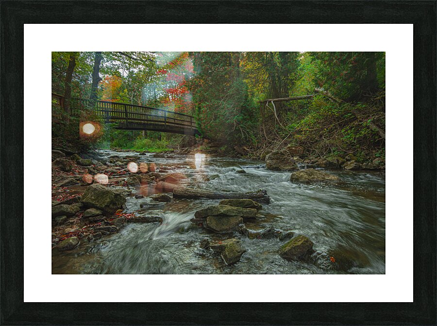 Belfountain early autumn flow Picture Frame print