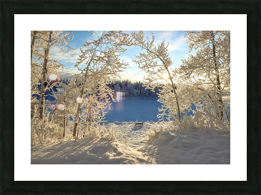 Winter Magic Picture Frame print