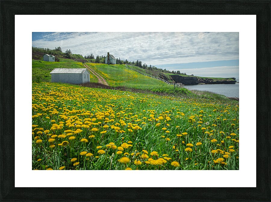 Bonaventure Dandelion Carpet Picture Frame print