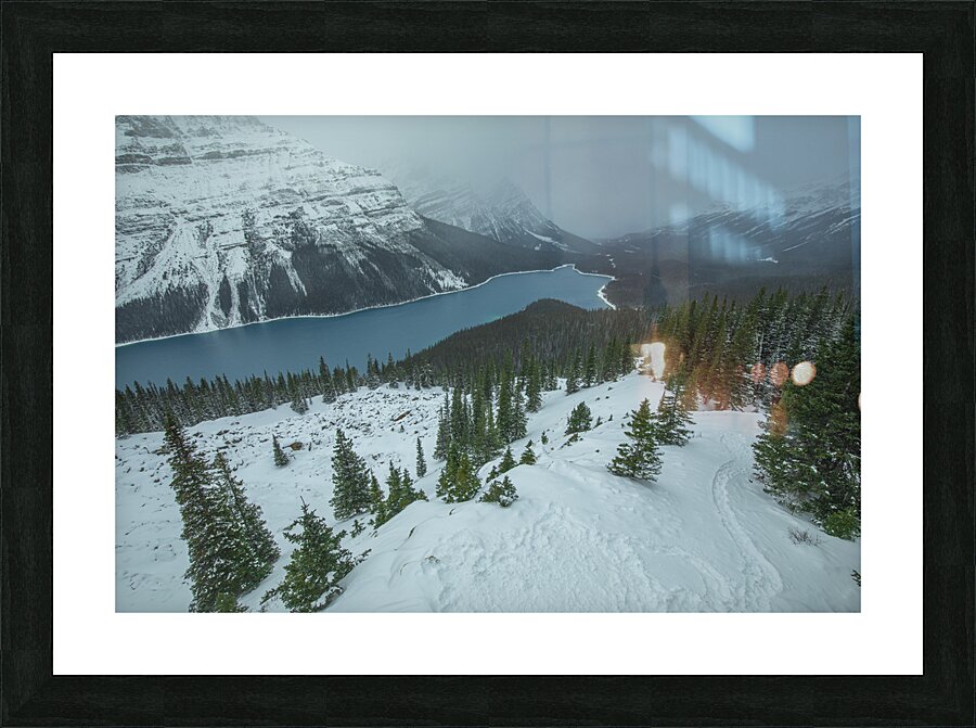 Peyto Lake winter overlook Picture Frame print