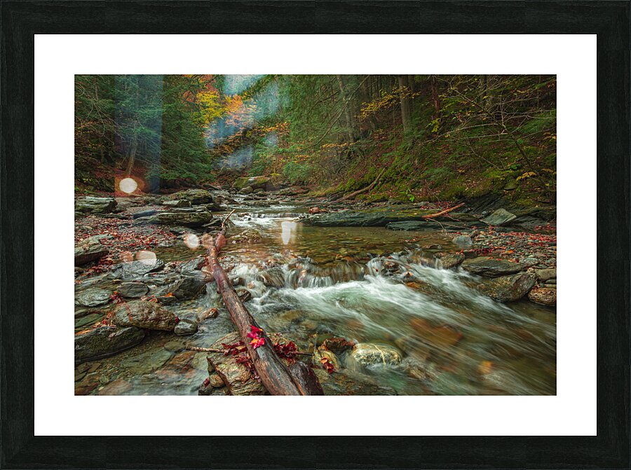 Autumn Forest Stream Picture Frame print