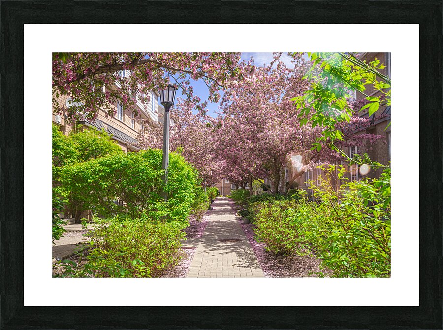 Dreamy Spring Path Picture Frame print
