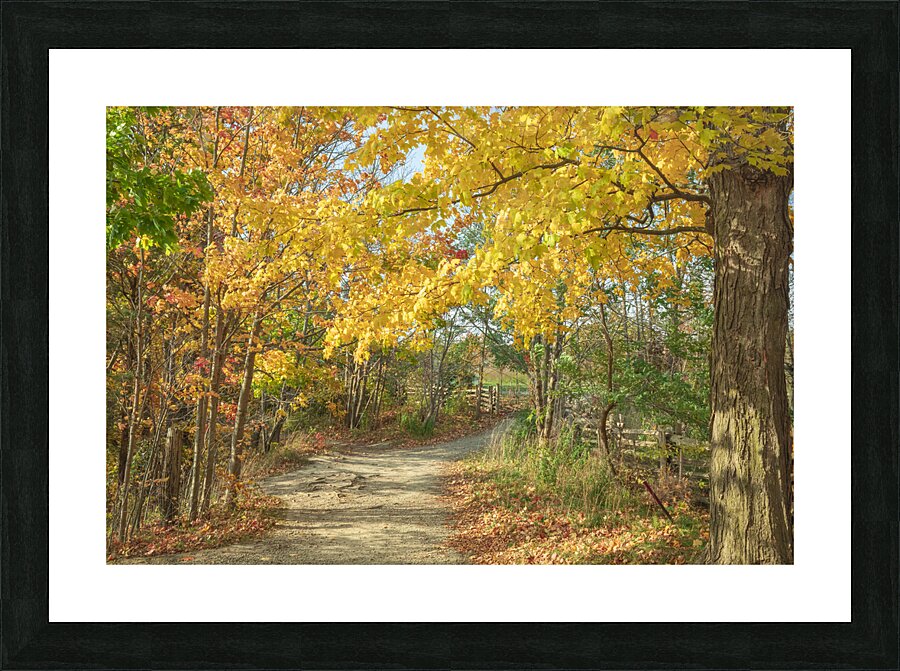 Decew Falls Autumn Trail Picture Frame print