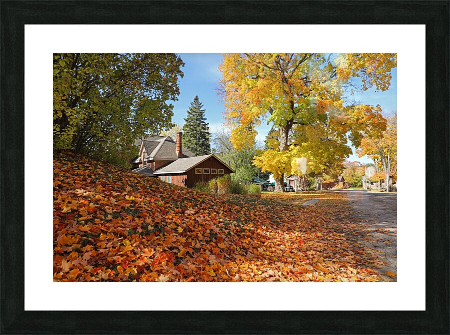 Flesherton Maple Magic Picture Frame print