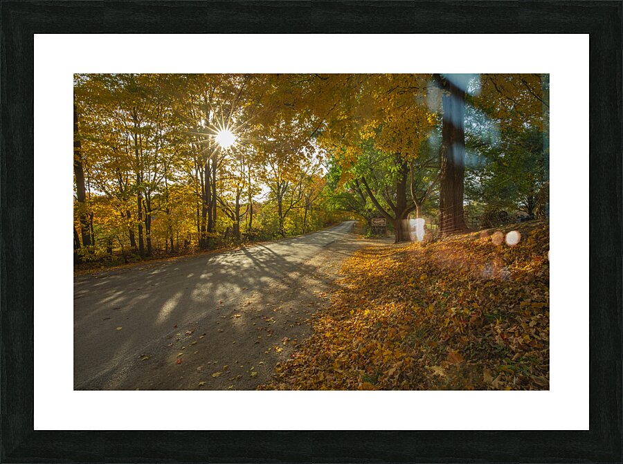Howells Autumn Road Picture Frame print