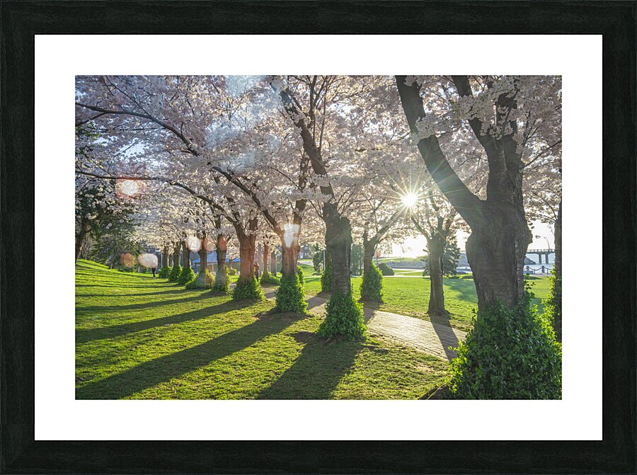 Morning Spring Freshness Picture Frame print