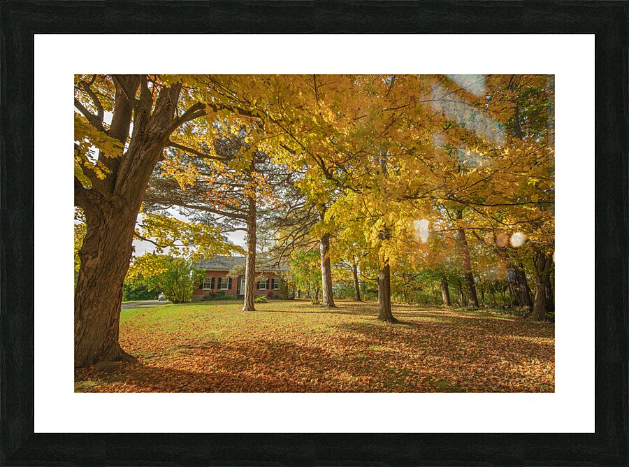 Rural Niagara Autumn Residence Picture Frame print