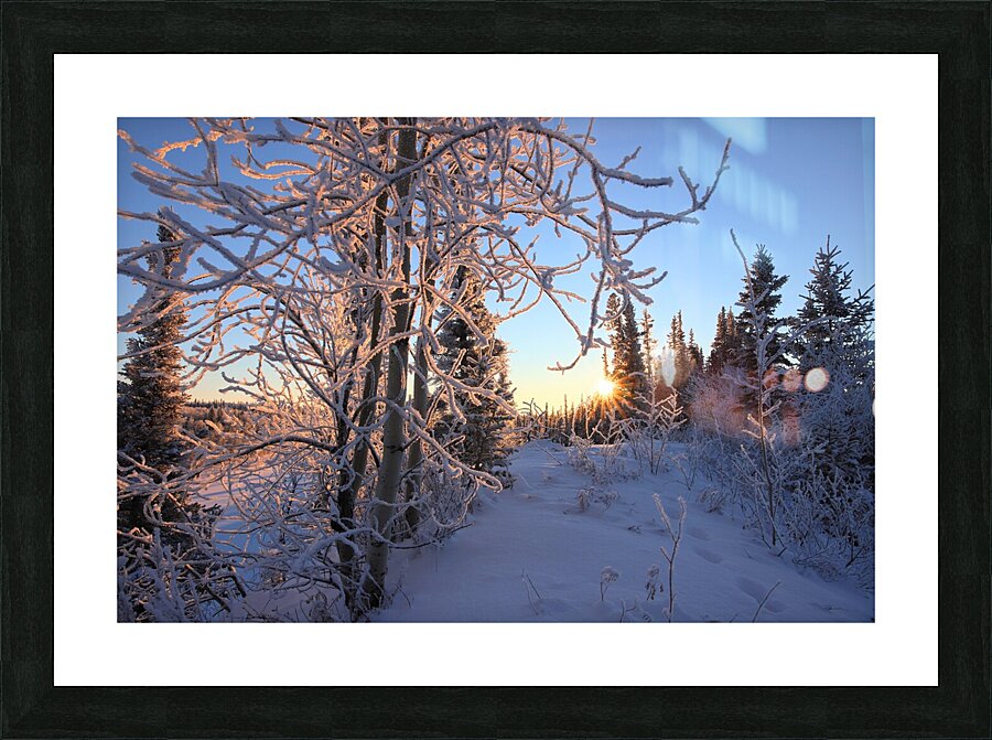 Winter Morning Frost Sunburst Picture Frame print