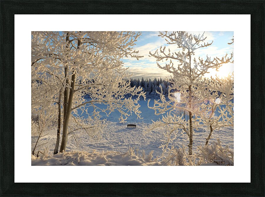 Winter wonderland frost Picture Frame print